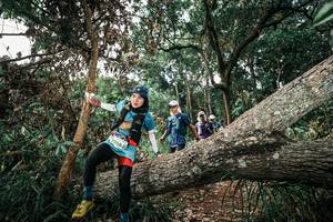 BIB: 
                            <button type="button" onclick="openModal(25536887)" class="btn btn-primary btn-sm float-right btn-popup" data-toggle="modal" data-target=".modal-high-quality">
                        <i class="fas fa-shopping-cart"></i> Add to Cart
                    </button>
                                            <button type="button" onclick="isThisMe(25536887, true)" class="btn btn-success btn-sm float-right btn-popup btn-isme hidden" data-toggle="tooltip" data-placement="bottom" title="นี่คือรูปของคุณใช่ไหม คลิกที่นี่เพื่อเอาเข้าอัลบั้ม">
                        <i class="fas fa-plus"></i> Add to album
                    </button>
                    <button type="button" onclick="isThisMe(25536887, false)" class="btn btn-warning btn-sm float-right btn-popup btn-isnotme hidden">
                        <i class="fas fa-ban"></i> Remove from album
                    </button>