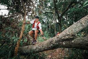 BIB: 
                            <button type="button" onclick="openModal(25545485)" class="btn btn-primary btn-sm float-right btn-popup" data-toggle="modal" data-target=".modal-high-quality">
                        <i class="fas fa-shopping-cart"></i> Add to Cart
                    </button>
                                            <button type="button" onclick="isThisMe(25545485, true)" class="btn btn-success btn-sm float-right btn-popup btn-isme hidden" data-toggle="tooltip" data-placement="bottom" title="นี่คือรูปของคุณใช่ไหม คลิกที่นี่เพื่อเอาเข้าอัลบั้ม">
                        <i class="fas fa-plus"></i> Add to album
                    </button>
                    <button type="button" onclick="isThisMe(25545485, false)" class="btn btn-warning btn-sm float-right btn-popup btn-isnotme hidden">
                        <i class="fas fa-ban"></i> Remove from album
                    </button>