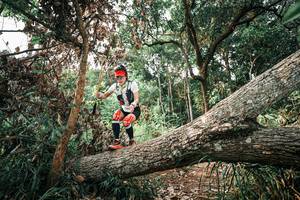 BIB: 
                            <button type="button" onclick="openModal(25533739)" class="btn btn-primary btn-sm float-right btn-popup" data-toggle="modal" data-target=".modal-high-quality">
                        <i class="fas fa-shopping-cart"></i> Add to Cart
                    </button>
                                            <button type="button" onclick="isThisMe(25533739, true)" class="btn btn-success btn-sm float-right btn-popup btn-isme hidden" data-toggle="tooltip" data-placement="bottom" title="นี่คือรูปของคุณใช่ไหม คลิกที่นี่เพื่อเอาเข้าอัลบั้ม">
                        <i class="fas fa-plus"></i> Add to album
                    </button>
                    <button type="button" onclick="isThisMe(25533739, false)" class="btn btn-warning btn-sm float-right btn-popup btn-isnotme hidden">
                        <i class="fas fa-ban"></i> Remove from album
                    </button>