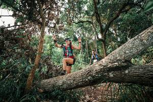 BIB: 
                            <button type="button" onclick="openModal(25533116)" class="btn btn-primary btn-sm float-right btn-popup" data-toggle="modal" data-target=".modal-high-quality">
                        <i class="fas fa-shopping-cart"></i> Add to Cart
                    </button>
                                            <button type="button" onclick="isThisMe(25533116, true)" class="btn btn-success btn-sm float-right btn-popup btn-isme hidden" data-toggle="tooltip" data-placement="bottom" title="นี่คือรูปของคุณใช่ไหม คลิกที่นี่เพื่อเอาเข้าอัลบั้ม">
                        <i class="fas fa-plus"></i> Add to album
                    </button>
                    <button type="button" onclick="isThisMe(25533116, false)" class="btn btn-warning btn-sm float-right btn-popup btn-isnotme hidden">
                        <i class="fas fa-ban"></i> Remove from album
                    </button>