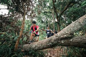 BIB: 
                            <button type="button" onclick="openModal(25529485)" class="btn btn-primary btn-sm float-right btn-popup" data-toggle="modal" data-target=".modal-high-quality">
                        <i class="fas fa-shopping-cart"></i> Add to Cart
                    </button>
                                            <button type="button" onclick="isThisMe(25529485, true)" class="btn btn-success btn-sm float-right btn-popup btn-isme hidden" data-toggle="tooltip" data-placement="bottom" title="นี่คือรูปของคุณใช่ไหม คลิกที่นี่เพื่อเอาเข้าอัลบั้ม">
                        <i class="fas fa-plus"></i> Add to album
                    </button>
                    <button type="button" onclick="isThisMe(25529485, false)" class="btn btn-warning btn-sm float-right btn-popup btn-isnotme hidden">
                        <i class="fas fa-ban"></i> Remove from album
                    </button>