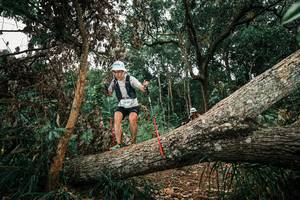 BIB: 
                            <button type="button" onclick="openModal(25547003)" class="btn btn-primary btn-sm float-right btn-popup" data-toggle="modal" data-target=".modal-high-quality">
                        <i class="fas fa-shopping-cart"></i> Add to Cart
                    </button>
                                            <button type="button" onclick="isThisMe(25547003, true)" class="btn btn-success btn-sm float-right btn-popup btn-isme hidden" data-toggle="tooltip" data-placement="bottom" title="นี่คือรูปของคุณใช่ไหม คลิกที่นี่เพื่อเอาเข้าอัลบั้ม">
                        <i class="fas fa-plus"></i> Add to album
                    </button>
                    <button type="button" onclick="isThisMe(25547003, false)" class="btn btn-warning btn-sm float-right btn-popup btn-isnotme hidden">
                        <i class="fas fa-ban"></i> Remove from album
                    </button>