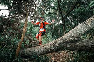 BIB: 
                            <button type="button" onclick="openModal(25538560)" class="btn btn-primary btn-sm float-right btn-popup" data-toggle="modal" data-target=".modal-high-quality">
                        <i class="fas fa-shopping-cart"></i> Add to Cart
                    </button>
                                            <button type="button" onclick="isThisMe(25538560, true)" class="btn btn-success btn-sm float-right btn-popup btn-isme hidden" data-toggle="tooltip" data-placement="bottom" title="นี่คือรูปของคุณใช่ไหม คลิกที่นี่เพื่อเอาเข้าอัลบั้ม">
                        <i class="fas fa-plus"></i> Add to album
                    </button>
                    <button type="button" onclick="isThisMe(25538560, false)" class="btn btn-warning btn-sm float-right btn-popup btn-isnotme hidden">
                        <i class="fas fa-ban"></i> Remove from album
                    </button>