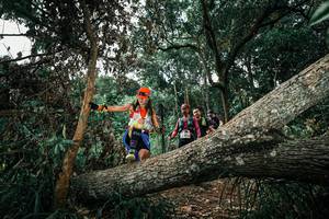 BIB: 
                            <button type="button" onclick="openModal(25548820)" class="btn btn-primary btn-sm float-right btn-popup" data-toggle="modal" data-target=".modal-high-quality">
                        <i class="fas fa-shopping-cart"></i> Add to Cart
                    </button>
                                            <button type="button" onclick="isThisMe(25548820, true)" class="btn btn-success btn-sm float-right btn-popup btn-isme hidden" data-toggle="tooltip" data-placement="bottom" title="นี่คือรูปของคุณใช่ไหม คลิกที่นี่เพื่อเอาเข้าอัลบั้ม">
                        <i class="fas fa-plus"></i> Add to album
                    </button>
                    <button type="button" onclick="isThisMe(25548820, false)" class="btn btn-warning btn-sm float-right btn-popup btn-isnotme hidden">
                        <i class="fas fa-ban"></i> Remove from album
                    </button>