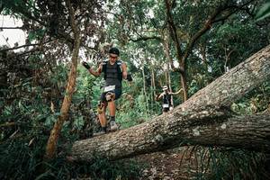 BIB: 
                            <button type="button" onclick="openModal(25528706)" class="btn btn-primary btn-sm float-right btn-popup" data-toggle="modal" data-target=".modal-high-quality">
                        <i class="fas fa-shopping-cart"></i> Add to Cart
                    </button>
                                            <button type="button" onclick="isThisMe(25528706, true)" class="btn btn-success btn-sm float-right btn-popup btn-isme hidden" data-toggle="tooltip" data-placement="bottom" title="นี่คือรูปของคุณใช่ไหม คลิกที่นี่เพื่อเอาเข้าอัลบั้ม">
                        <i class="fas fa-plus"></i> Add to album
                    </button>
                    <button type="button" onclick="isThisMe(25528706, false)" class="btn btn-warning btn-sm float-right btn-popup btn-isnotme hidden">
                        <i class="fas fa-ban"></i> Remove from album
                    </button>