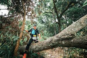 BIB: 
                            <button type="button" onclick="openModal(25553001)" class="btn btn-primary btn-sm float-right btn-popup" data-toggle="modal" data-target=".modal-high-quality">
                        <i class="fas fa-shopping-cart"></i> Add to Cart
                    </button>
                                            <button type="button" onclick="isThisMe(25553001, true)" class="btn btn-success btn-sm float-right btn-popup btn-isme hidden" data-toggle="tooltip" data-placement="bottom" title="นี่คือรูปของคุณใช่ไหม คลิกที่นี่เพื่อเอาเข้าอัลบั้ม">
                        <i class="fas fa-plus"></i> Add to album
                    </button>
                    <button type="button" onclick="isThisMe(25553001, false)" class="btn btn-warning btn-sm float-right btn-popup btn-isnotme hidden">
                        <i class="fas fa-ban"></i> Remove from album
                    </button>