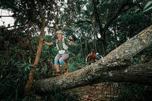 BIB: 
                            <button type="button" onclick="openModal(25550508)" class="btn btn-primary btn-sm float-right btn-popup" data-toggle="modal" data-target=".modal-high-quality">
                        <i class="fas fa-shopping-cart"></i> Add to Cart
                    </button>
                                            <button type="button" onclick="isThisMe(25550508, true)" class="btn btn-success btn-sm float-right btn-popup btn-isme hidden" data-toggle="tooltip" data-placement="bottom" title="นี่คือรูปของคุณใช่ไหม คลิกที่นี่เพื่อเอาเข้าอัลบั้ม">
                        <i class="fas fa-plus"></i> Add to album
                    </button>
                    <button type="button" onclick="isThisMe(25550508, false)" class="btn btn-warning btn-sm float-right btn-popup btn-isnotme hidden">
                        <i class="fas fa-ban"></i> Remove from album
                    </button>