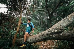 BIB: 
                            <button type="button" onclick="openModal(25546703)" class="btn btn-primary btn-sm float-right btn-popup" data-toggle="modal" data-target=".modal-high-quality">
                        <i class="fas fa-shopping-cart"></i> Add to Cart
                    </button>
                                            <button type="button" onclick="isThisMe(25546703, true)" class="btn btn-success btn-sm float-right btn-popup btn-isme hidden" data-toggle="tooltip" data-placement="bottom" title="นี่คือรูปของคุณใช่ไหม คลิกที่นี่เพื่อเอาเข้าอัลบั้ม">
                        <i class="fas fa-plus"></i> Add to album
                    </button>
                    <button type="button" onclick="isThisMe(25546703, false)" class="btn btn-warning btn-sm float-right btn-popup btn-isnotme hidden">
                        <i class="fas fa-ban"></i> Remove from album
                    </button>