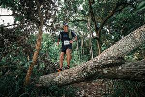 BIB: 
                            <button type="button" onclick="openModal(25528614)" class="btn btn-primary btn-sm float-right btn-popup" data-toggle="modal" data-target=".modal-high-quality">
                        <i class="fas fa-shopping-cart"></i> Add to Cart
                    </button>
                                            <button type="button" onclick="isThisMe(25528614, true)" class="btn btn-success btn-sm float-right btn-popup btn-isme hidden" data-toggle="tooltip" data-placement="bottom" title="นี่คือรูปของคุณใช่ไหม คลิกที่นี่เพื่อเอาเข้าอัลบั้ม">
                        <i class="fas fa-plus"></i> Add to album
                    </button>
                    <button type="button" onclick="isThisMe(25528614, false)" class="btn btn-warning btn-sm float-right btn-popup btn-isnotme hidden">
                        <i class="fas fa-ban"></i> Remove from album
                    </button>