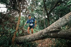 BIB: 
                            <button type="button" onclick="openModal(25546372)" class="btn btn-primary btn-sm float-right btn-popup" data-toggle="modal" data-target=".modal-high-quality">
                        <i class="fas fa-shopping-cart"></i> Add to Cart
                    </button>
                                            <button type="button" onclick="isThisMe(25546372, true)" class="btn btn-success btn-sm float-right btn-popup btn-isme hidden" data-toggle="tooltip" data-placement="bottom" title="นี่คือรูปของคุณใช่ไหม คลิกที่นี่เพื่อเอาเข้าอัลบั้ม">
                        <i class="fas fa-plus"></i> Add to album
                    </button>
                    <button type="button" onclick="isThisMe(25546372, false)" class="btn btn-warning btn-sm float-right btn-popup btn-isnotme hidden">
                        <i class="fas fa-ban"></i> Remove from album
                    </button>