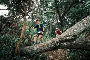 BIB: 
                            <button type="button" onclick="openModal(25538377)" class="btn btn-primary btn-sm float-right btn-popup" data-toggle="modal" data-target=".modal-high-quality">
                        <i class="fas fa-shopping-cart"></i> Add to Cart
                    </button>
                                            <button type="button" onclick="isThisMe(25538377, true)" class="btn btn-success btn-sm float-right btn-popup btn-isme hidden" data-toggle="tooltip" data-placement="bottom" title="นี่คือรูปของคุณใช่ไหม คลิกที่นี่เพื่อเอาเข้าอัลบั้ม">
                        <i class="fas fa-plus"></i> Add to album
                    </button>
                    <button type="button" onclick="isThisMe(25538377, false)" class="btn btn-warning btn-sm float-right btn-popup btn-isnotme hidden">
                        <i class="fas fa-ban"></i> Remove from album
                    </button>