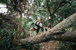 BIB: 
                            <button type="button" onclick="openModal(25530008)" class="btn btn-primary btn-sm float-right btn-popup" data-toggle="modal" data-target=".modal-high-quality">
                        <i class="fas fa-shopping-cart"></i> Add to Cart
                    </button>
                                            <button type="button" onclick="isThisMe(25530008, true)" class="btn btn-success btn-sm float-right btn-popup btn-isme hidden" data-toggle="tooltip" data-placement="bottom" title="นี่คือรูปของคุณใช่ไหม คลิกที่นี่เพื่อเอาเข้าอัลบั้ม">
                        <i class="fas fa-plus"></i> Add to album
                    </button>
                    <button type="button" onclick="isThisMe(25530008, false)" class="btn btn-warning btn-sm float-right btn-popup btn-isnotme hidden">
                        <i class="fas fa-ban"></i> Remove from album
                    </button>