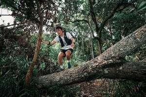 BIB: 
                            <button type="button" onclick="openModal(25534817)" class="btn btn-primary btn-sm float-right btn-popup" data-toggle="modal" data-target=".modal-high-quality">
                        <i class="fas fa-shopping-cart"></i> Add to Cart
                    </button>
                                            <button type="button" onclick="isThisMe(25534817, true)" class="btn btn-success btn-sm float-right btn-popup btn-isme hidden" data-toggle="tooltip" data-placement="bottom" title="นี่คือรูปของคุณใช่ไหม คลิกที่นี่เพื่อเอาเข้าอัลบั้ม">
                        <i class="fas fa-plus"></i> Add to album
                    </button>
                    <button type="button" onclick="isThisMe(25534817, false)" class="btn btn-warning btn-sm float-right btn-popup btn-isnotme hidden">
                        <i class="fas fa-ban"></i> Remove from album
                    </button>