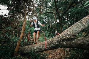 BIB: 
                            <button type="button" onclick="openModal(25547014)" class="btn btn-primary btn-sm float-right btn-popup" data-toggle="modal" data-target=".modal-high-quality">
                        <i class="fas fa-shopping-cart"></i> Add to Cart
                    </button>
                                            <button type="button" onclick="isThisMe(25547014, true)" class="btn btn-success btn-sm float-right btn-popup btn-isme hidden" data-toggle="tooltip" data-placement="bottom" title="นี่คือรูปของคุณใช่ไหม คลิกที่นี่เพื่อเอาเข้าอัลบั้ม">
                        <i class="fas fa-plus"></i> Add to album
                    </button>
                    <button type="button" onclick="isThisMe(25547014, false)" class="btn btn-warning btn-sm float-right btn-popup btn-isnotme hidden">
                        <i class="fas fa-ban"></i> Remove from album
                    </button>