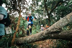 BIB: 
                            <button type="button" onclick="openModal(25547701)" class="btn btn-primary btn-sm float-right btn-popup" data-toggle="modal" data-target=".modal-high-quality">
                        <i class="fas fa-shopping-cart"></i> Add to Cart
                    </button>
                                            <button type="button" onclick="isThisMe(25547701, true)" class="btn btn-success btn-sm float-right btn-popup btn-isme hidden" data-toggle="tooltip" data-placement="bottom" title="นี่คือรูปของคุณใช่ไหม คลิกที่นี่เพื่อเอาเข้าอัลบั้ม">
                        <i class="fas fa-plus"></i> Add to album
                    </button>
                    <button type="button" onclick="isThisMe(25547701, false)" class="btn btn-warning btn-sm float-right btn-popup btn-isnotme hidden">
                        <i class="fas fa-ban"></i> Remove from album
                    </button>