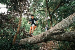 BIB: 
                            <button type="button" onclick="openModal(25528983)" class="btn btn-primary btn-sm float-right btn-popup" data-toggle="modal" data-target=".modal-high-quality">
                        <i class="fas fa-shopping-cart"></i> Add to Cart
                    </button>
                                            <button type="button" onclick="isThisMe(25528983, true)" class="btn btn-success btn-sm float-right btn-popup btn-isme hidden" data-toggle="tooltip" data-placement="bottom" title="นี่คือรูปของคุณใช่ไหม คลิกที่นี่เพื่อเอาเข้าอัลบั้ม">
                        <i class="fas fa-plus"></i> Add to album
                    </button>
                    <button type="button" onclick="isThisMe(25528983, false)" class="btn btn-warning btn-sm float-right btn-popup btn-isnotme hidden">
                        <i class="fas fa-ban"></i> Remove from album
                    </button>