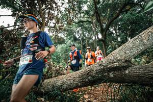 BIB: 
                            <button type="button" onclick="openModal(25538879)" class="btn btn-primary btn-sm float-right btn-popup" data-toggle="modal" data-target=".modal-high-quality">
                        <i class="fas fa-shopping-cart"></i> Add to Cart
                    </button>
                                            <button type="button" onclick="isThisMe(25538879, true)" class="btn btn-success btn-sm float-right btn-popup btn-isme hidden" data-toggle="tooltip" data-placement="bottom" title="นี่คือรูปของคุณใช่ไหม คลิกที่นี่เพื่อเอาเข้าอัลบั้ม">
                        <i class="fas fa-plus"></i> Add to album
                    </button>
                    <button type="button" onclick="isThisMe(25538879, false)" class="btn btn-warning btn-sm float-right btn-popup btn-isnotme hidden">
                        <i class="fas fa-ban"></i> Remove from album
                    </button>