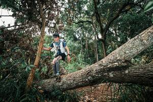 BIB: 
                            <button type="button" onclick="openModal(25536293)" class="btn btn-primary btn-sm float-right btn-popup" data-toggle="modal" data-target=".modal-high-quality">
                        <i class="fas fa-shopping-cart"></i> Add to Cart
                    </button>
                                            <button type="button" onclick="isThisMe(25536293, true)" class="btn btn-success btn-sm float-right btn-popup btn-isme hidden" data-toggle="tooltip" data-placement="bottom" title="นี่คือรูปของคุณใช่ไหม คลิกที่นี่เพื่อเอาเข้าอัลบั้ม">
                        <i class="fas fa-plus"></i> Add to album
                    </button>
                    <button type="button" onclick="isThisMe(25536293, false)" class="btn btn-warning btn-sm float-right btn-popup btn-isnotme hidden">
                        <i class="fas fa-ban"></i> Remove from album
                    </button>