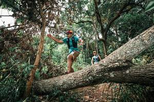 BIB: 
                            <button type="button" onclick="openModal(25544424)" class="btn btn-primary btn-sm float-right btn-popup" data-toggle="modal" data-target=".modal-high-quality">
                        <i class="fas fa-shopping-cart"></i> Add to Cart
                    </button>
                                            <button type="button" onclick="isThisMe(25544424, true)" class="btn btn-success btn-sm float-right btn-popup btn-isme hidden" data-toggle="tooltip" data-placement="bottom" title="นี่คือรูปของคุณใช่ไหม คลิกที่นี่เพื่อเอาเข้าอัลบั้ม">
                        <i class="fas fa-plus"></i> Add to album
                    </button>
                    <button type="button" onclick="isThisMe(25544424, false)" class="btn btn-warning btn-sm float-right btn-popup btn-isnotme hidden">
                        <i class="fas fa-ban"></i> Remove from album
                    </button>