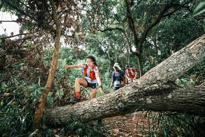 BIB: 
                            <button type="button" onclick="openModal(25543546)" class="btn btn-primary btn-sm float-right btn-popup" data-toggle="modal" data-target=".modal-high-quality">
                        <i class="fas fa-shopping-cart"></i> Add to Cart
                    </button>
                                            <button type="button" onclick="isThisMe(25543546, true)" class="btn btn-success btn-sm float-right btn-popup btn-isme hidden" data-toggle="tooltip" data-placement="bottom" title="นี่คือรูปของคุณใช่ไหม คลิกที่นี่เพื่อเอาเข้าอัลบั้ม">
                        <i class="fas fa-plus"></i> Add to album
                    </button>
                    <button type="button" onclick="isThisMe(25543546, false)" class="btn btn-warning btn-sm float-right btn-popup btn-isnotme hidden">
                        <i class="fas fa-ban"></i> Remove from album
                    </button>