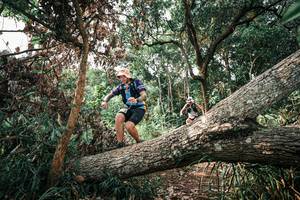 BIB: 
                            <button type="button" onclick="openModal(25533997)" class="btn btn-primary btn-sm float-right btn-popup" data-toggle="modal" data-target=".modal-high-quality">
                        <i class="fas fa-shopping-cart"></i> Add to Cart
                    </button>
                                            <button type="button" onclick="isThisMe(25533997, true)" class="btn btn-success btn-sm float-right btn-popup btn-isme hidden" data-toggle="tooltip" data-placement="bottom" title="นี่คือรูปของคุณใช่ไหม คลิกที่นี่เพื่อเอาเข้าอัลบั้ม">
                        <i class="fas fa-plus"></i> Add to album
                    </button>
                    <button type="button" onclick="isThisMe(25533997, false)" class="btn btn-warning btn-sm float-right btn-popup btn-isnotme hidden">
                        <i class="fas fa-ban"></i> Remove from album
                    </button>