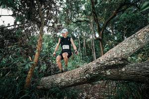 BIB: 
                            <button type="button" onclick="openModal(25527880)" class="btn btn-primary btn-sm float-right btn-popup" data-toggle="modal" data-target=".modal-high-quality">
                        <i class="fas fa-shopping-cart"></i> Add to Cart
                    </button>
                                            <button type="button" onclick="isThisMe(25527880, true)" class="btn btn-success btn-sm float-right btn-popup btn-isme hidden" data-toggle="tooltip" data-placement="bottom" title="นี่คือรูปของคุณใช่ไหม คลิกที่นี่เพื่อเอาเข้าอัลบั้ม">
                        <i class="fas fa-plus"></i> Add to album
                    </button>
                    <button type="button" onclick="isThisMe(25527880, false)" class="btn btn-warning btn-sm float-right btn-popup btn-isnotme hidden">
                        <i class="fas fa-ban"></i> Remove from album
                    </button>