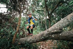 BIB: 
                            <button type="button" onclick="openModal(25529659)" class="btn btn-primary btn-sm float-right btn-popup" data-toggle="modal" data-target=".modal-high-quality">
                        <i class="fas fa-shopping-cart"></i> Add to Cart
                    </button>
                                            <button type="button" onclick="isThisMe(25529659, true)" class="btn btn-success btn-sm float-right btn-popup btn-isme hidden" data-toggle="tooltip" data-placement="bottom" title="นี่คือรูปของคุณใช่ไหม คลิกที่นี่เพื่อเอาเข้าอัลบั้ม">
                        <i class="fas fa-plus"></i> Add to album
                    </button>
                    <button type="button" onclick="isThisMe(25529659, false)" class="btn btn-warning btn-sm float-right btn-popup btn-isnotme hidden">
                        <i class="fas fa-ban"></i> Remove from album
                    </button>