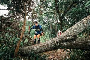 BIB: 
                            <button type="button" onclick="openModal(25547929)" class="btn btn-primary btn-sm float-right btn-popup" data-toggle="modal" data-target=".modal-high-quality">
                        <i class="fas fa-shopping-cart"></i> Add to Cart
                    </button>
                                            <button type="button" onclick="isThisMe(25547929, true)" class="btn btn-success btn-sm float-right btn-popup btn-isme hidden" data-toggle="tooltip" data-placement="bottom" title="นี่คือรูปของคุณใช่ไหม คลิกที่นี่เพื่อเอาเข้าอัลบั้ม">
                        <i class="fas fa-plus"></i> Add to album
                    </button>
                    <button type="button" onclick="isThisMe(25547929, false)" class="btn btn-warning btn-sm float-right btn-popup btn-isnotme hidden">
                        <i class="fas fa-ban"></i> Remove from album
                    </button>