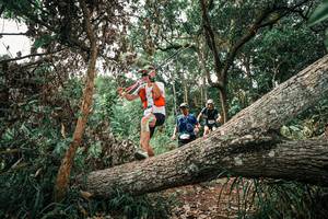 BIB: 
                            <button type="button" onclick="openModal(25531500)" class="btn btn-primary btn-sm float-right btn-popup" data-toggle="modal" data-target=".modal-high-quality">
                        <i class="fas fa-shopping-cart"></i> Add to Cart
                    </button>
                                            <button type="button" onclick="isThisMe(25531500, true)" class="btn btn-success btn-sm float-right btn-popup btn-isme hidden" data-toggle="tooltip" data-placement="bottom" title="นี่คือรูปของคุณใช่ไหม คลิกที่นี่เพื่อเอาเข้าอัลบั้ม">
                        <i class="fas fa-plus"></i> Add to album
                    </button>
                    <button type="button" onclick="isThisMe(25531500, false)" class="btn btn-warning btn-sm float-right btn-popup btn-isnotme hidden">
                        <i class="fas fa-ban"></i> Remove from album
                    </button>