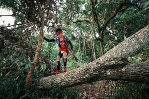 BIB: 
                            <button type="button" onclick="openModal(25528817)" class="btn btn-primary btn-sm float-right btn-popup" data-toggle="modal" data-target=".modal-high-quality">
                        <i class="fas fa-shopping-cart"></i> Add to Cart
                    </button>
                                            <button type="button" onclick="isThisMe(25528817, true)" class="btn btn-success btn-sm float-right btn-popup btn-isme hidden" data-toggle="tooltip" data-placement="bottom" title="นี่คือรูปของคุณใช่ไหม คลิกที่นี่เพื่อเอาเข้าอัลบั้ม">
                        <i class="fas fa-plus"></i> Add to album
                    </button>
                    <button type="button" onclick="isThisMe(25528817, false)" class="btn btn-warning btn-sm float-right btn-popup btn-isnotme hidden">
                        <i class="fas fa-ban"></i> Remove from album
                    </button>