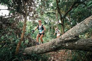 BIB: 
                            <button type="button" onclick="openModal(25529207)" class="btn btn-primary btn-sm float-right btn-popup" data-toggle="modal" data-target=".modal-high-quality">
                        <i class="fas fa-shopping-cart"></i> Add to Cart
                    </button>
                                            <button type="button" onclick="isThisMe(25529207, true)" class="btn btn-success btn-sm float-right btn-popup btn-isme hidden" data-toggle="tooltip" data-placement="bottom" title="นี่คือรูปของคุณใช่ไหม คลิกที่นี่เพื่อเอาเข้าอัลบั้ม">
                        <i class="fas fa-plus"></i> Add to album
                    </button>
                    <button type="button" onclick="isThisMe(25529207, false)" class="btn btn-warning btn-sm float-right btn-popup btn-isnotme hidden">
                        <i class="fas fa-ban"></i> Remove from album
                    </button>