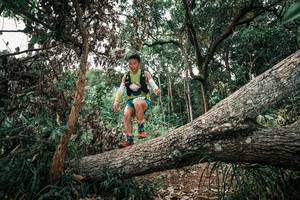 BIB: 
                            <button type="button" onclick="openModal(25531650)" class="btn btn-primary btn-sm float-right btn-popup" data-toggle="modal" data-target=".modal-high-quality">
                        <i class="fas fa-shopping-cart"></i> Add to Cart
                    </button>
                                            <button type="button" onclick="isThisMe(25531650, true)" class="btn btn-success btn-sm float-right btn-popup btn-isme hidden" data-toggle="tooltip" data-placement="bottom" title="นี่คือรูปของคุณใช่ไหม คลิกที่นี่เพื่อเอาเข้าอัลบั้ม">
                        <i class="fas fa-plus"></i> Add to album
                    </button>
                    <button type="button" onclick="isThisMe(25531650, false)" class="btn btn-warning btn-sm float-right btn-popup btn-isnotme hidden">
                        <i class="fas fa-ban"></i> Remove from album
                    </button>