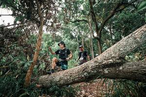 BIB: 
                            <button type="button" onclick="openModal(25529523)" class="btn btn-primary btn-sm float-right btn-popup" data-toggle="modal" data-target=".modal-high-quality">
                        <i class="fas fa-shopping-cart"></i> Add to Cart
                    </button>
                                            <button type="button" onclick="isThisMe(25529523, true)" class="btn btn-success btn-sm float-right btn-popup btn-isme hidden" data-toggle="tooltip" data-placement="bottom" title="นี่คือรูปของคุณใช่ไหม คลิกที่นี่เพื่อเอาเข้าอัลบั้ม">
                        <i class="fas fa-plus"></i> Add to album
                    </button>
                    <button type="button" onclick="isThisMe(25529523, false)" class="btn btn-warning btn-sm float-right btn-popup btn-isnotme hidden">
                        <i class="fas fa-ban"></i> Remove from album
                    </button>