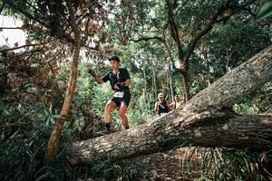 BIB: 
                            <button type="button" onclick="openModal(25535058)" class="btn btn-primary btn-sm float-right btn-popup" data-toggle="modal" data-target=".modal-high-quality">
                        <i class="fas fa-shopping-cart"></i> Add to Cart
                    </button>
                                            <button type="button" onclick="isThisMe(25535058, true)" class="btn btn-success btn-sm float-right btn-popup btn-isme hidden" data-toggle="tooltip" data-placement="bottom" title="นี่คือรูปของคุณใช่ไหม คลิกที่นี่เพื่อเอาเข้าอัลบั้ม">
                        <i class="fas fa-plus"></i> Add to album
                    </button>
                    <button type="button" onclick="isThisMe(25535058, false)" class="btn btn-warning btn-sm float-right btn-popup btn-isnotme hidden">
                        <i class="fas fa-ban"></i> Remove from album
                    </button>