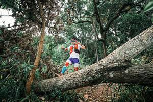 BIB: 
                            <button type="button" onclick="openModal(25541255)" class="btn btn-primary btn-sm float-right btn-popup" data-toggle="modal" data-target=".modal-high-quality">
                        <i class="fas fa-shopping-cart"></i> Add to Cart
                    </button>
                                            <button type="button" onclick="isThisMe(25541255, true)" class="btn btn-success btn-sm float-right btn-popup btn-isme hidden" data-toggle="tooltip" data-placement="bottom" title="นี่คือรูปของคุณใช่ไหม คลิกที่นี่เพื่อเอาเข้าอัลบั้ม">
                        <i class="fas fa-plus"></i> Add to album
                    </button>
                    <button type="button" onclick="isThisMe(25541255, false)" class="btn btn-warning btn-sm float-right btn-popup btn-isnotme hidden">
                        <i class="fas fa-ban"></i> Remove from album
                    </button>