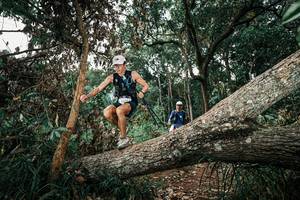 BIB: 
                            <button type="button" onclick="openModal(25536569)" class="btn btn-primary btn-sm float-right btn-popup" data-toggle="modal" data-target=".modal-high-quality">
                        <i class="fas fa-shopping-cart"></i> Add to Cart
                    </button>
                                            <button type="button" onclick="isThisMe(25536569, true)" class="btn btn-success btn-sm float-right btn-popup btn-isme hidden" data-toggle="tooltip" data-placement="bottom" title="นี่คือรูปของคุณใช่ไหม คลิกที่นี่เพื่อเอาเข้าอัลบั้ม">
                        <i class="fas fa-plus"></i> Add to album
                    </button>
                    <button type="button" onclick="isThisMe(25536569, false)" class="btn btn-warning btn-sm float-right btn-popup btn-isnotme hidden">
                        <i class="fas fa-ban"></i> Remove from album
                    </button>