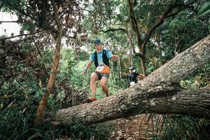 BIB: 
                            <button type="button" onclick="openModal(25529162)" class="btn btn-primary btn-sm float-right btn-popup" data-toggle="modal" data-target=".modal-high-quality">
                        <i class="fas fa-shopping-cart"></i> Add to Cart
                    </button>
                                            <button type="button" onclick="isThisMe(25529162, true)" class="btn btn-success btn-sm float-right btn-popup btn-isme hidden" data-toggle="tooltip" data-placement="bottom" title="นี่คือรูปของคุณใช่ไหม คลิกที่นี่เพื่อเอาเข้าอัลบั้ม">
                        <i class="fas fa-plus"></i> Add to album
                    </button>
                    <button type="button" onclick="isThisMe(25529162, false)" class="btn btn-warning btn-sm float-right btn-popup btn-isnotme hidden">
                        <i class="fas fa-ban"></i> Remove from album
                    </button>