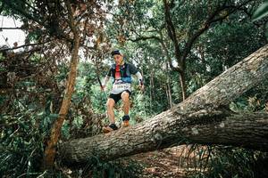 BIB: 
                            <button type="button" onclick="openModal(25548568)" class="btn btn-primary btn-sm float-right btn-popup" data-toggle="modal" data-target=".modal-high-quality">
                        <i class="fas fa-shopping-cart"></i> Add to Cart
                    </button>
                                            <button type="button" onclick="isThisMe(25548568, true)" class="btn btn-success btn-sm float-right btn-popup btn-isme hidden" data-toggle="tooltip" data-placement="bottom" title="นี่คือรูปของคุณใช่ไหม คลิกที่นี่เพื่อเอาเข้าอัลบั้ม">
                        <i class="fas fa-plus"></i> Add to album
                    </button>
                    <button type="button" onclick="isThisMe(25548568, false)" class="btn btn-warning btn-sm float-right btn-popup btn-isnotme hidden">
                        <i class="fas fa-ban"></i> Remove from album
                    </button>