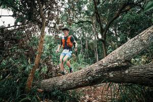 BIB: 
                            <button type="button" onclick="openModal(25530738)" class="btn btn-primary btn-sm float-right btn-popup" data-toggle="modal" data-target=".modal-high-quality">
                        <i class="fas fa-shopping-cart"></i> Add to Cart
                    </button>
                                            <button type="button" onclick="isThisMe(25530738, true)" class="btn btn-success btn-sm float-right btn-popup btn-isme hidden" data-toggle="tooltip" data-placement="bottom" title="นี่คือรูปของคุณใช่ไหม คลิกที่นี่เพื่อเอาเข้าอัลบั้ม">
                        <i class="fas fa-plus"></i> Add to album
                    </button>
                    <button type="button" onclick="isThisMe(25530738, false)" class="btn btn-warning btn-sm float-right btn-popup btn-isnotme hidden">
                        <i class="fas fa-ban"></i> Remove from album
                    </button>