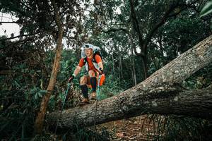 BIB: 
                            <button type="button" onclick="openModal(25550702)" class="btn btn-primary btn-sm float-right btn-popup" data-toggle="modal" data-target=".modal-high-quality">
                        <i class="fas fa-shopping-cart"></i> Add to Cart
                    </button>
                                            <button type="button" onclick="isThisMe(25550702, true)" class="btn btn-success btn-sm float-right btn-popup btn-isme hidden" data-toggle="tooltip" data-placement="bottom" title="นี่คือรูปของคุณใช่ไหม คลิกที่นี่เพื่อเอาเข้าอัลบั้ม">
                        <i class="fas fa-plus"></i> Add to album
                    </button>
                    <button type="button" onclick="isThisMe(25550702, false)" class="btn btn-warning btn-sm float-right btn-popup btn-isnotme hidden">
                        <i class="fas fa-ban"></i> Remove from album
                    </button>