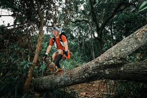 BIB: 
                            <button type="button" onclick="openModal(25550705)" class="btn btn-primary btn-sm float-right btn-popup" data-toggle="modal" data-target=".modal-high-quality">
                        <i class="fas fa-shopping-cart"></i> Add to Cart
                    </button>
                                            <button type="button" onclick="isThisMe(25550705, true)" class="btn btn-success btn-sm float-right btn-popup btn-isme hidden" data-toggle="tooltip" data-placement="bottom" title="นี่คือรูปของคุณใช่ไหม คลิกที่นี่เพื่อเอาเข้าอัลบั้ม">
                        <i class="fas fa-plus"></i> Add to album
                    </button>
                    <button type="button" onclick="isThisMe(25550705, false)" class="btn btn-warning btn-sm float-right btn-popup btn-isnotme hidden">
                        <i class="fas fa-ban"></i> Remove from album
                    </button>