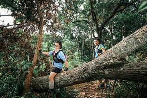 BIB: 
                            <button type="button" onclick="openModal(25545853)" class="btn btn-primary btn-sm float-right btn-popup" data-toggle="modal" data-target=".modal-high-quality">
                        <i class="fas fa-shopping-cart"></i> Add to Cart
                    </button>
                                            <button type="button" onclick="isThisMe(25545853, true)" class="btn btn-success btn-sm float-right btn-popup btn-isme hidden" data-toggle="tooltip" data-placement="bottom" title="นี่คือรูปของคุณใช่ไหม คลิกที่นี่เพื่อเอาเข้าอัลบั้ม">
                        <i class="fas fa-plus"></i> Add to album
                    </button>
                    <button type="button" onclick="isThisMe(25545853, false)" class="btn btn-warning btn-sm float-right btn-popup btn-isnotme hidden">
                        <i class="fas fa-ban"></i> Remove from album
                    </button>