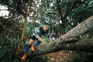 BIB: 
                            <button type="button" onclick="openModal(25550033)" class="btn btn-primary btn-sm float-right btn-popup" data-toggle="modal" data-target=".modal-high-quality">
                        <i class="fas fa-shopping-cart"></i> Add to Cart
                    </button>
                                            <button type="button" onclick="isThisMe(25550033, true)" class="btn btn-success btn-sm float-right btn-popup btn-isme hidden" data-toggle="tooltip" data-placement="bottom" title="นี่คือรูปของคุณใช่ไหม คลิกที่นี่เพื่อเอาเข้าอัลบั้ม">
                        <i class="fas fa-plus"></i> Add to album
                    </button>
                    <button type="button" onclick="isThisMe(25550033, false)" class="btn btn-warning btn-sm float-right btn-popup btn-isnotme hidden">
                        <i class="fas fa-ban"></i> Remove from album
                    </button>