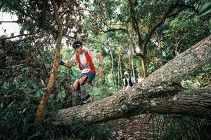 BIB: 
                            <button type="button" onclick="openModal(25527778)" class="btn btn-primary btn-sm float-right btn-popup" data-toggle="modal" data-target=".modal-high-quality">
                        <i class="fas fa-shopping-cart"></i> Add to Cart
                    </button>
                                            <button type="button" onclick="isThisMe(25527778, true)" class="btn btn-success btn-sm float-right btn-popup btn-isme hidden" data-toggle="tooltip" data-placement="bottom" title="นี่คือรูปของคุณใช่ไหม คลิกที่นี่เพื่อเอาเข้าอัลบั้ม">
                        <i class="fas fa-plus"></i> Add to album
                    </button>
                    <button type="button" onclick="isThisMe(25527778, false)" class="btn btn-warning btn-sm float-right btn-popup btn-isnotme hidden">
                        <i class="fas fa-ban"></i> Remove from album
                    </button>