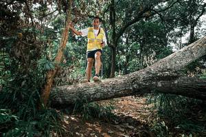 BIB: 
                            <button type="button" onclick="openModal(25553053)" class="btn btn-primary btn-sm float-right btn-popup" data-toggle="modal" data-target=".modal-high-quality">
                        <i class="fas fa-shopping-cart"></i> Add to Cart
                    </button>
                                            <button type="button" onclick="isThisMe(25553053, true)" class="btn btn-success btn-sm float-right btn-popup btn-isme hidden" data-toggle="tooltip" data-placement="bottom" title="นี่คือรูปของคุณใช่ไหม คลิกที่นี่เพื่อเอาเข้าอัลบั้ม">
                        <i class="fas fa-plus"></i> Add to album
                    </button>
                    <button type="button" onclick="isThisMe(25553053, false)" class="btn btn-warning btn-sm float-right btn-popup btn-isnotme hidden">
                        <i class="fas fa-ban"></i> Remove from album
                    </button>