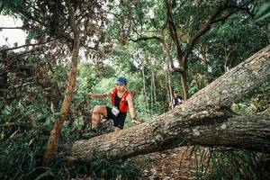 BIB: 
                            <button type="button" onclick="openModal(25528973)" class="btn btn-primary btn-sm float-right btn-popup" data-toggle="modal" data-target=".modal-high-quality">
                        <i class="fas fa-shopping-cart"></i> Add to Cart
                    </button>
                                            <button type="button" onclick="isThisMe(25528973, true)" class="btn btn-success btn-sm float-right btn-popup btn-isme hidden" data-toggle="tooltip" data-placement="bottom" title="นี่คือรูปของคุณใช่ไหม คลิกที่นี่เพื่อเอาเข้าอัลบั้ม">
                        <i class="fas fa-plus"></i> Add to album
                    </button>
                    <button type="button" onclick="isThisMe(25528973, false)" class="btn btn-warning btn-sm float-right btn-popup btn-isnotme hidden">
                        <i class="fas fa-ban"></i> Remove from album
                    </button>