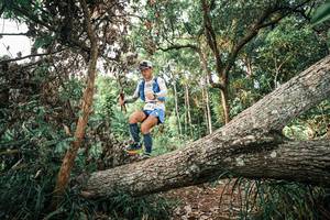 BIB: 
                            <button type="button" onclick="openModal(25527513)" class="btn btn-primary btn-sm float-right btn-popup" data-toggle="modal" data-target=".modal-high-quality">
                        <i class="fas fa-shopping-cart"></i> Add to Cart
                    </button>
                                            <button type="button" onclick="isThisMe(25527513, true)" class="btn btn-success btn-sm float-right btn-popup btn-isme hidden" data-toggle="tooltip" data-placement="bottom" title="นี่คือรูปของคุณใช่ไหม คลิกที่นี่เพื่อเอาเข้าอัลบั้ม">
                        <i class="fas fa-plus"></i> Add to album
                    </button>
                    <button type="button" onclick="isThisMe(25527513, false)" class="btn btn-warning btn-sm float-right btn-popup btn-isnotme hidden">
                        <i class="fas fa-ban"></i> Remove from album
                    </button>