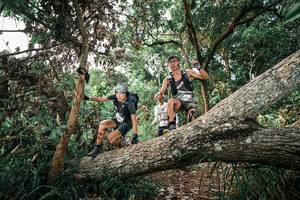 BIB: 
                            <button type="button" onclick="openModal(25528878)" class="btn btn-primary btn-sm float-right btn-popup" data-toggle="modal" data-target=".modal-high-quality">
                        <i class="fas fa-shopping-cart"></i> Add to Cart
                    </button>
                                            <button type="button" onclick="isThisMe(25528878, true)" class="btn btn-success btn-sm float-right btn-popup btn-isme hidden" data-toggle="tooltip" data-placement="bottom" title="นี่คือรูปของคุณใช่ไหม คลิกที่นี่เพื่อเอาเข้าอัลบั้ม">
                        <i class="fas fa-plus"></i> Add to album
                    </button>
                    <button type="button" onclick="isThisMe(25528878, false)" class="btn btn-warning btn-sm float-right btn-popup btn-isnotme hidden">
                        <i class="fas fa-ban"></i> Remove from album
                    </button>