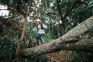 BIB: 
                            <button type="button" onclick="openModal(25539657)" class="btn btn-primary btn-sm float-right btn-popup" data-toggle="modal" data-target=".modal-high-quality">
                        <i class="fas fa-shopping-cart"></i> Add to Cart
                    </button>
                                            <button type="button" onclick="isThisMe(25539657, true)" class="btn btn-success btn-sm float-right btn-popup btn-isme hidden" data-toggle="tooltip" data-placement="bottom" title="นี่คือรูปของคุณใช่ไหม คลิกที่นี่เพื่อเอาเข้าอัลบั้ม">
                        <i class="fas fa-plus"></i> Add to album
                    </button>
                    <button type="button" onclick="isThisMe(25539657, false)" class="btn btn-warning btn-sm float-right btn-popup btn-isnotme hidden">
                        <i class="fas fa-ban"></i> Remove from album
                    </button>