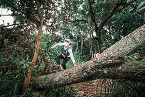 BIB: 
                            <button type="button" onclick="openModal(25545446)" class="btn btn-primary btn-sm float-right btn-popup" data-toggle="modal" data-target=".modal-high-quality">
                        <i class="fas fa-shopping-cart"></i> Add to Cart
                    </button>
                                            <button type="button" onclick="isThisMe(25545446, true)" class="btn btn-success btn-sm float-right btn-popup btn-isme hidden" data-toggle="tooltip" data-placement="bottom" title="นี่คือรูปของคุณใช่ไหม คลิกที่นี่เพื่อเอาเข้าอัลบั้ม">
                        <i class="fas fa-plus"></i> Add to album
                    </button>
                    <button type="button" onclick="isThisMe(25545446, false)" class="btn btn-warning btn-sm float-right btn-popup btn-isnotme hidden">
                        <i class="fas fa-ban"></i> Remove from album
                    </button>